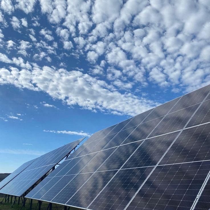 Paneles solares instalados en campo abierto bajo cielo azul.